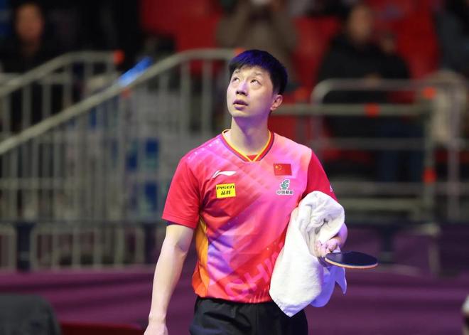 极性和对对 极性和对对