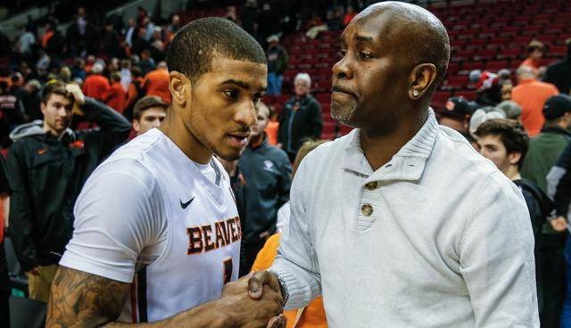 他们在各个 他们在各个